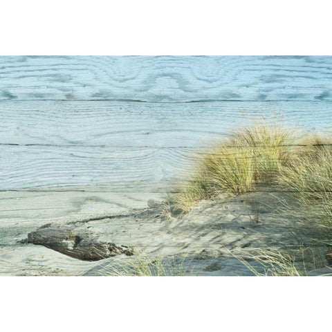 Beach Grass Black Modern Wood Framed Art Print by Murdock, Ramona