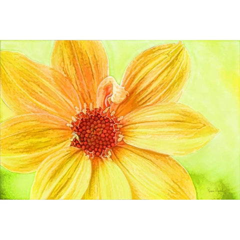 Daisy Love Black Modern Wood Framed Art Print with Double Matting by Murdock, Ramona