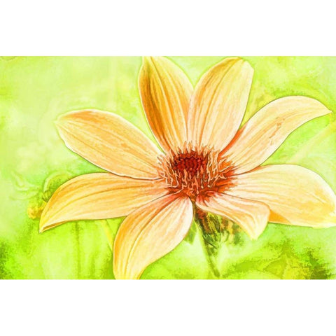 Daisy Sunshine White Modern Wood Framed Art Print by Murdock, Ramona