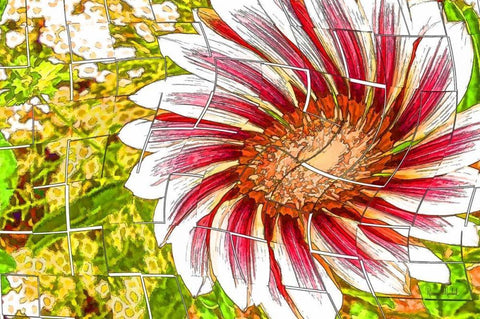 Floral Twist White Modern Wood Framed Art Print with Double Matting by Murdock, Ramona