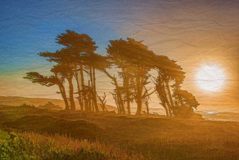 Beach Trees White Modern Wood Framed Art Print with Double Matting by Murdock, Ramona