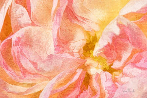 A New Perspective Black Ornate Wood Framed Art Print with Double Matting by Murdock, Ramona