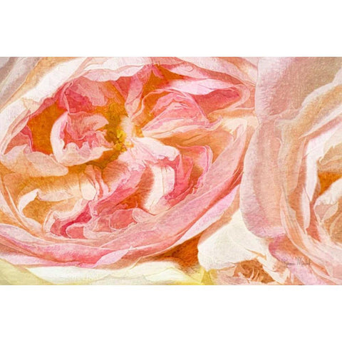 Cuddle Up White Modern Wood Framed Art Print by Murdock, Ramona