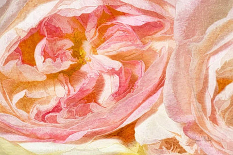 Cuddle Up White Modern Wood Framed Art Print with Double Matting by Murdock, Ramona