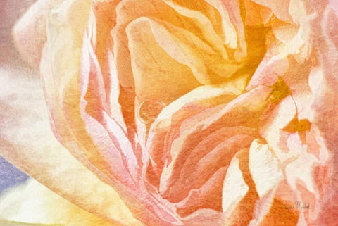 Dew Drop In Black Ornate Wood Framed Art Print with Double Matting by Murdock, Ramona