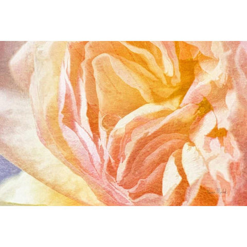 Dew Drop In White Modern Wood Framed Art Print by Murdock, Ramona