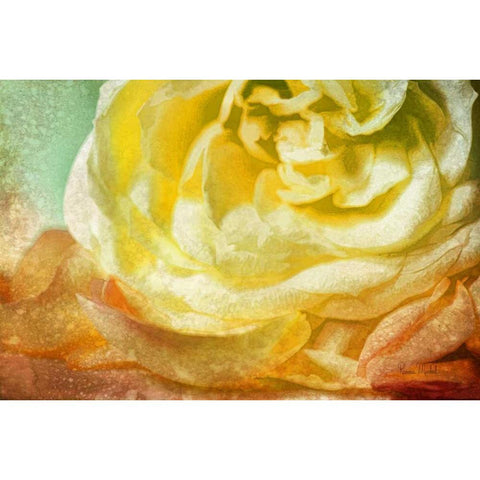 Many Petals Gold Ornate Wood Framed Art Print with Double Matting by Murdock, Ramona
