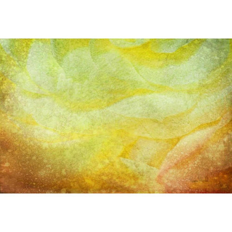 Subtle Petals Gold Ornate Wood Framed Art Print with Double Matting by Murdock, Ramona