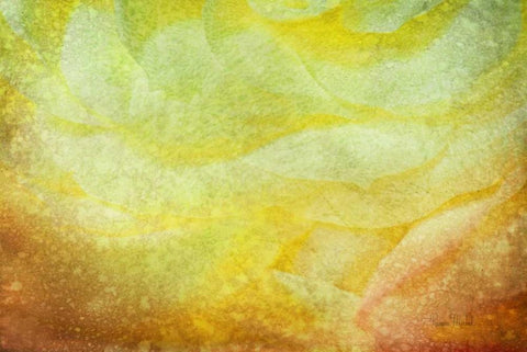 Subtle Petals White Modern Wood Framed Art Print with Double Matting by Murdock, Ramona