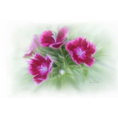 Bachelor Buttons I White Modern Wood Framed Art Print by Murdock, Ramona