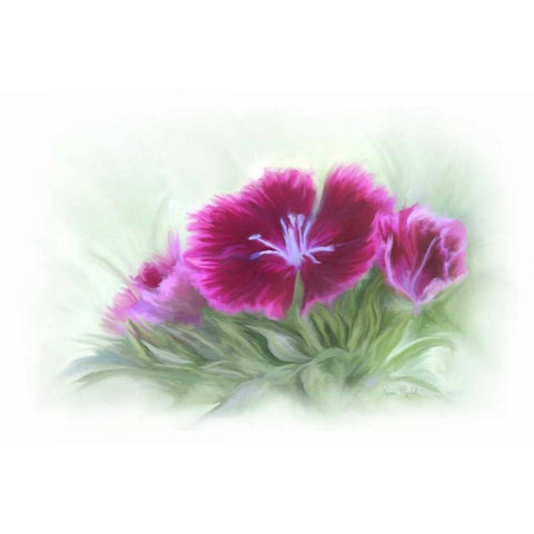 Bachelor Buttons III Gold Ornate Wood Framed Art Print with Double Matting by Murdock, Ramona