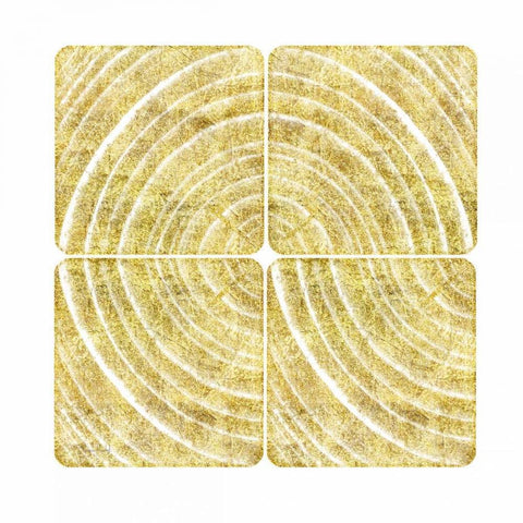 Tree Ring Triptych I Black Modern Wood Framed Art Print by Murdock, Ramona