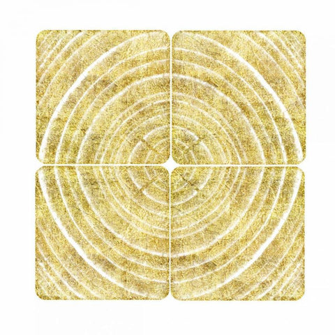 Tree Ring Triptych II White Modern Wood Framed Art Print with Double Matting by Murdock, Ramona