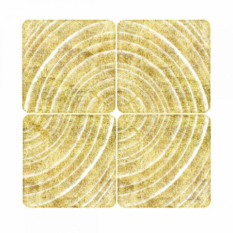Tree Ring Triptych III White Modern Wood Framed Art Print by Murdock, Ramona
