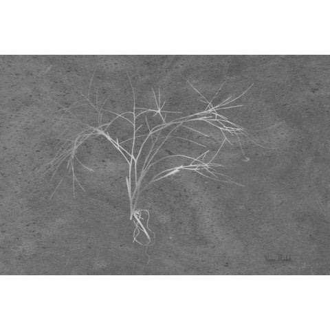 Twiggy Algae Silver on Black White Modern Wood Framed Art Print by Murdock, Ramona