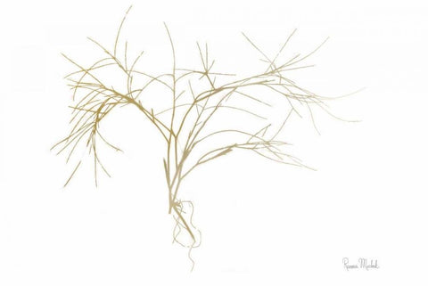 Twiggy Algae Gold on White Black Ornate Wood Framed Art Print with Double Matting by Murdock, Ramona