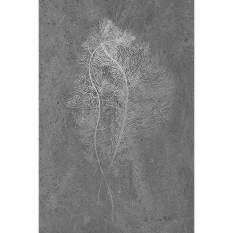 Fern Algae Silver on Black Black Modern Wood Framed Art Print by Murdock, Ramona