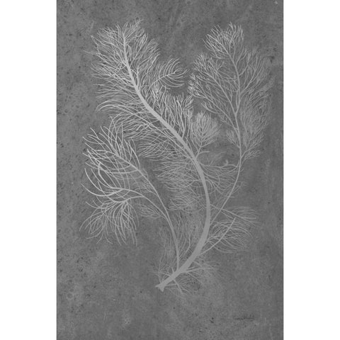Fern Algae Silver on Black White Modern Wood Framed Art Print by Murdock, Ramona