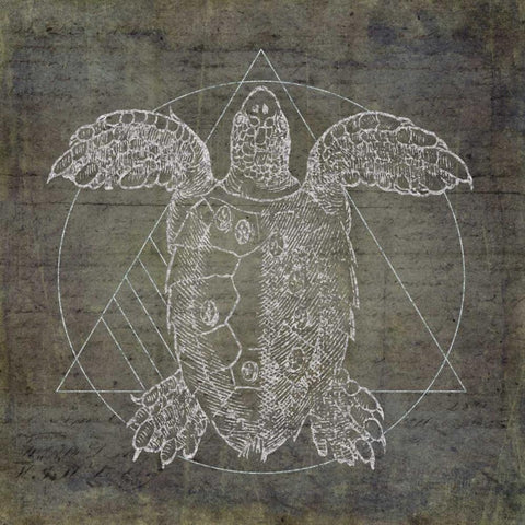 Turtle Geometric Silver White Modern Wood Framed Art Print by Murdock, Ramona