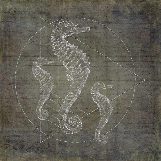 Image Only