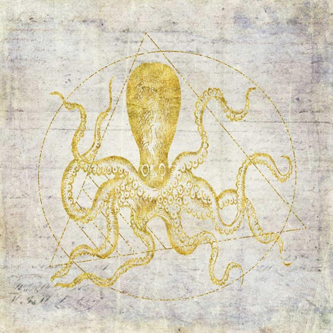 Octopus Geometric Gold White Modern Wood Framed Art Print with Double Matting by Murdock, Ramona