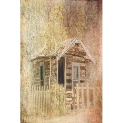 Wizards Cabin Gold Ornate Wood Framed Art Print with Double Matting by Murdock, Ramona