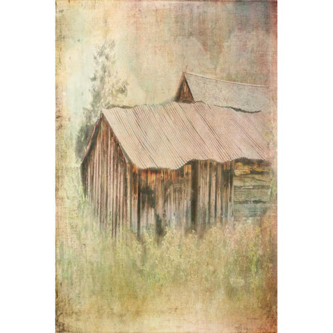 Hot Tin Roof White Modern Wood Framed Art Print by Murdock, Ramona