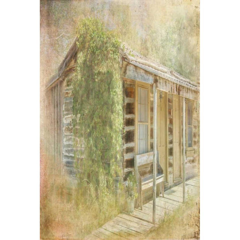 Bunkhouse Gold Ornate Wood Framed Art Print with Double Matting by Murdock, Ramona