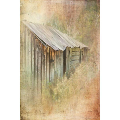 Backyard Shed White Modern Wood Framed Art Print by Murdock, Ramona