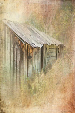 Backyard Shed Black Ornate Wood Framed Art Print with Double Matting by Murdock, Ramona