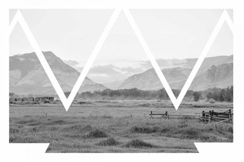 Cattle Country White Modern Wood Framed Art Print with Double Matting by Murdock, Ramona