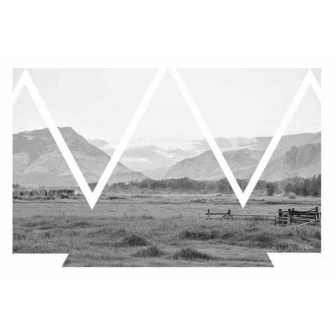 Cattle Country Black Modern Wood Framed Art Print with Double Matting by Murdock, Ramona