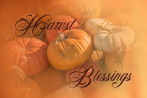 Harvest Blessings I White Modern Wood Framed Art Print with Double Matting by Murdock, Ramona