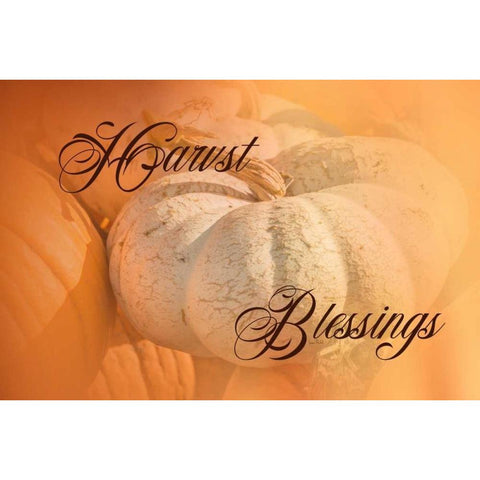 Harvest Blessings II Gold Ornate Wood Framed Art Print with Double Matting by Murdock, Ramona