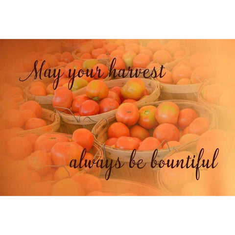 Harvest Wish White Modern Wood Framed Art Print by Murdock, Ramona