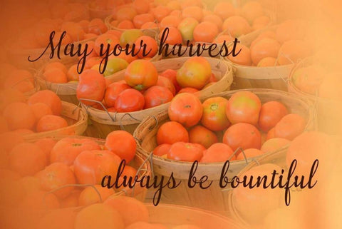 Harvest Wish White Modern Wood Framed Art Print with Double Matting by Murdock, Ramona