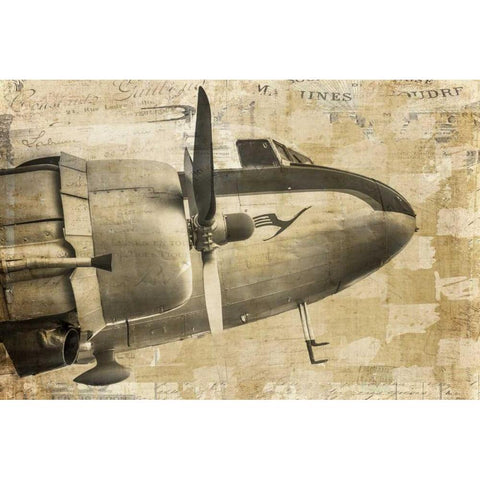 Prop Plane Nose Gold Ornate Wood Framed Art Print with Double Matting by Murdock, Ramona