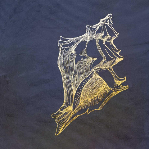 Golden Seashell Gold Ornate Wood Framed Art Print with Double Matting by Murdock, Ramona