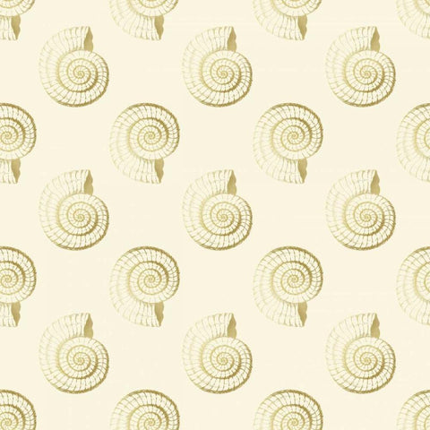 Golden Shell Pattern White Modern Wood Framed Art Print with Double Matting by Murdock, Ramona