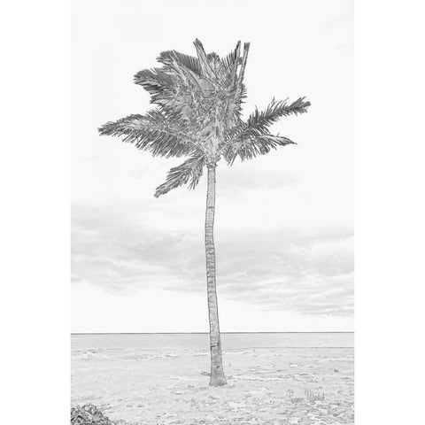 Swaying Palm I Black Modern Wood Framed Art Print with Double Matting by Murdock, Ramona