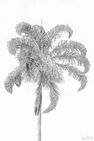 Swaying Palm III Black Ornate Wood Framed Art Print with Double Matting by Murdock, Ramona