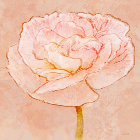 Sweet Peach Poppy II White Modern Wood Framed Art Print with Double Matting by Murdock, Ramona