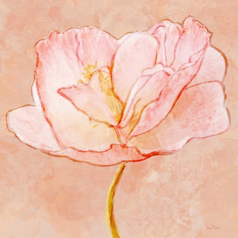 Sweet Peach Poppy III White Modern Wood Framed Art Print by Murdock, Ramona