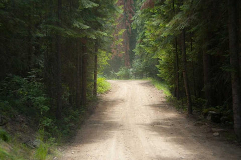 Adventure White Modern Wood Framed Art Print with Double Matting by Murdock, Ramona