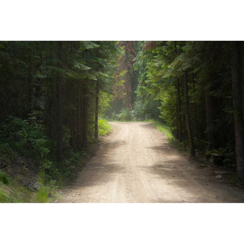 Adventure Black Modern Wood Framed Art Print by Murdock, Ramona