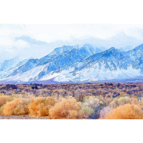 High Desert Vista II Black Modern Wood Framed Art Print with Double Matting by Murdock, Ramona