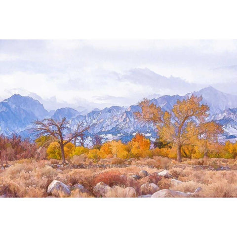 High Desert Vista IV White Modern Wood Framed Art Print by Murdock, Ramona