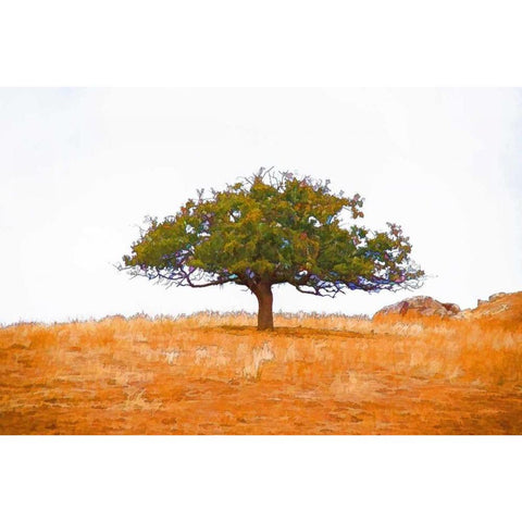 Lone Tree Gold Ornate Wood Framed Art Print with Double Matting by Murdock, Ramona