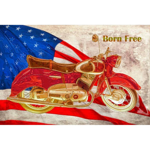 Born Free White Modern Wood Framed Art Print by Murdock, Ramona