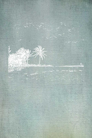 Beach Palm II Black Ornate Wood Framed Art Print with Double Matting by Murdock, Ramona